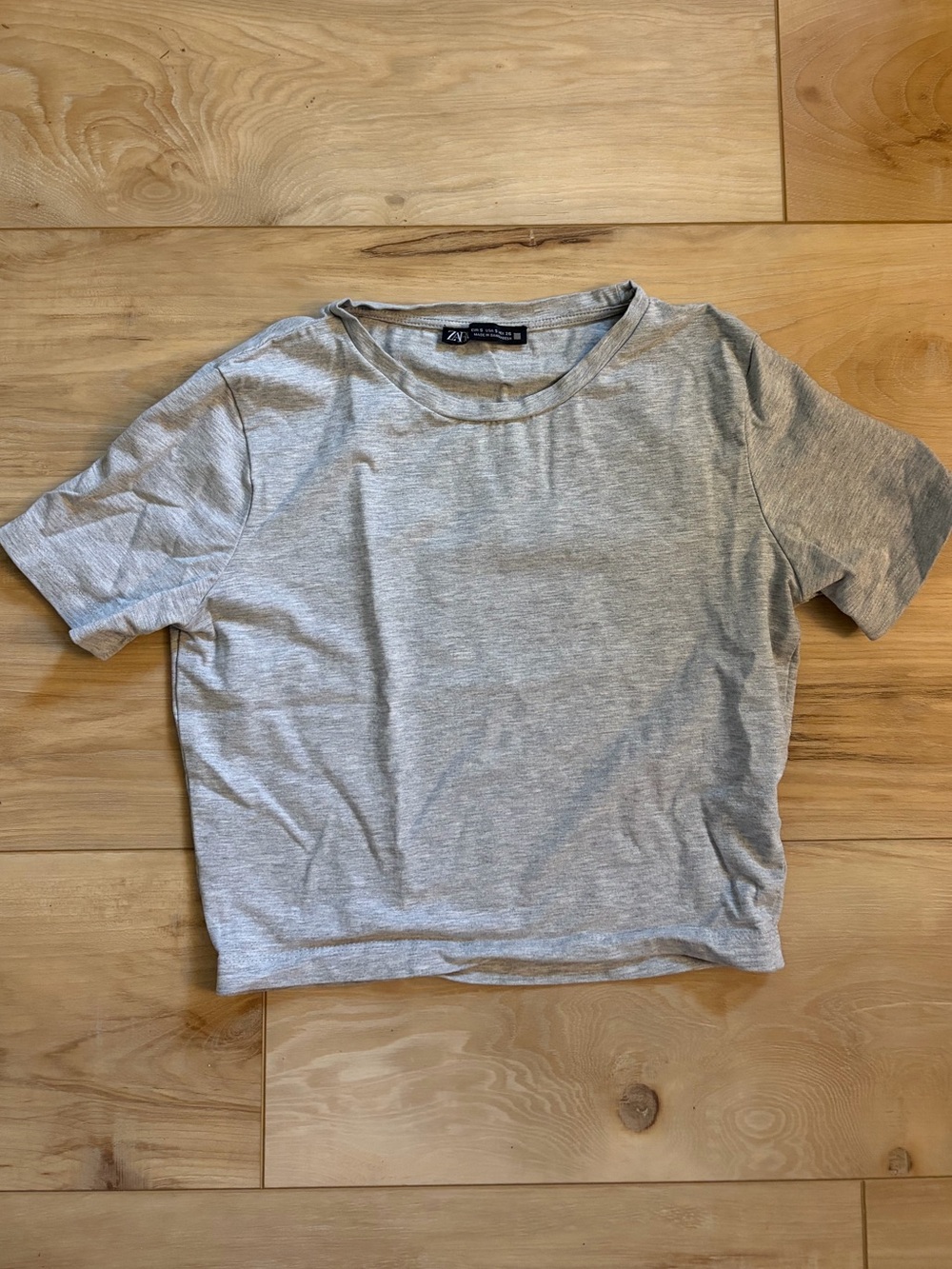 Zara Light Gray Crewneck Crop Tee